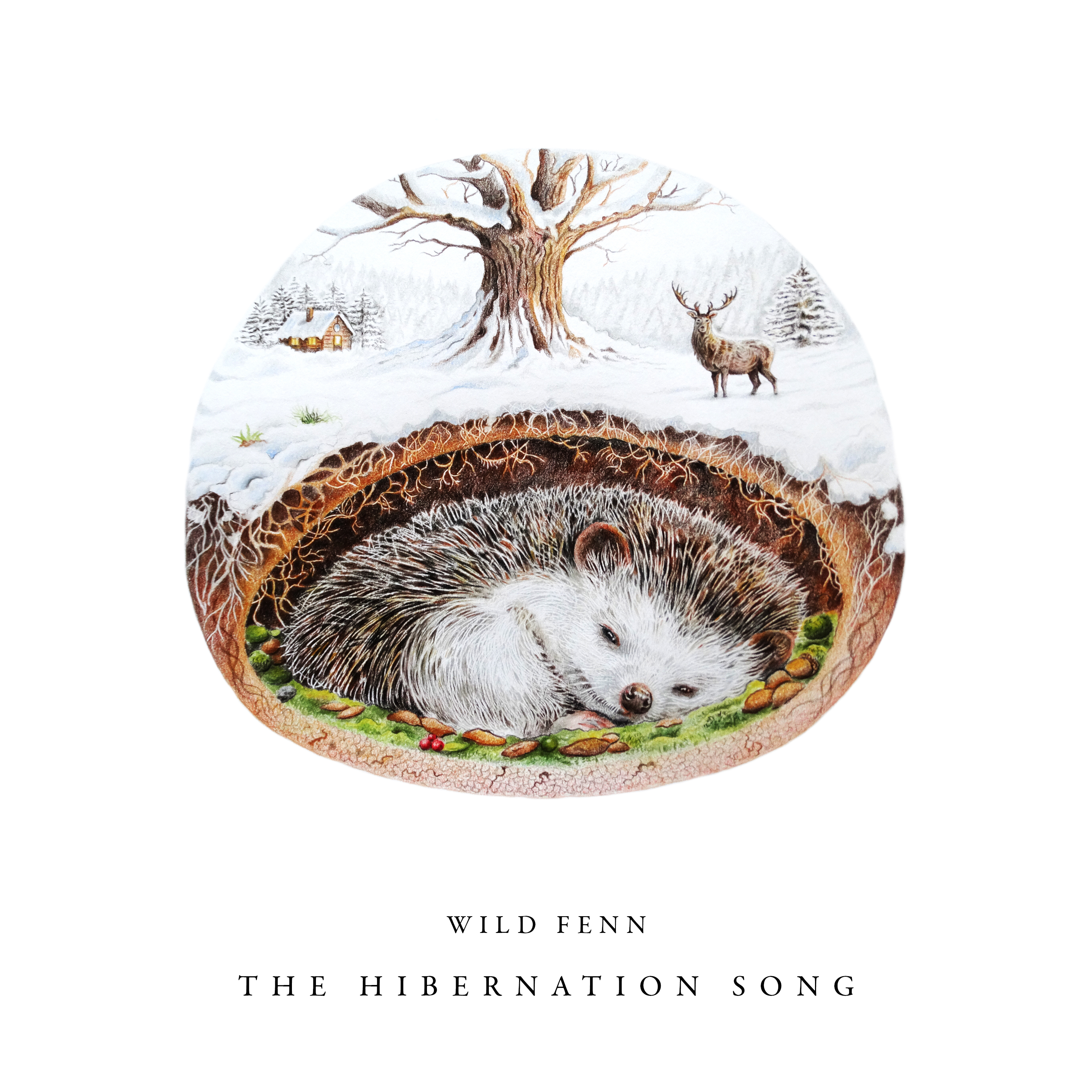 A sleeping hedgehog, curled up undergound benath a snowy scene.